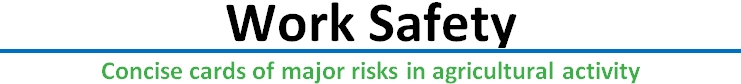 Logo Work Safety